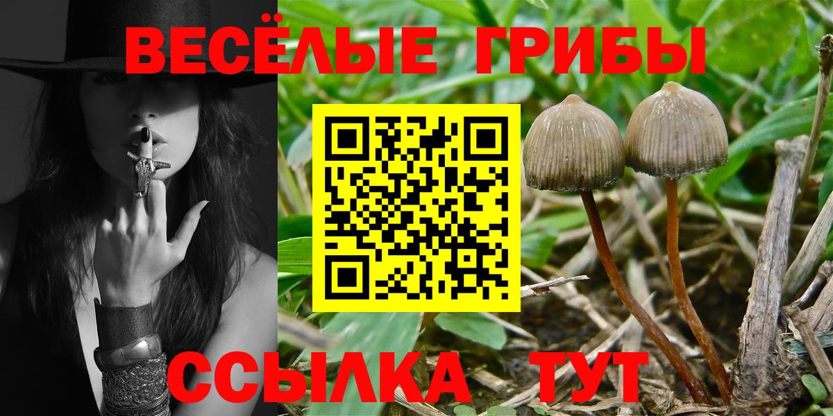 Торжок  Галлюциногенные грибы мицелий  Галлюциногенные грибы ЛСД  Вход с VPN 