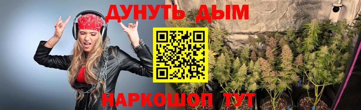 Конопля LSD WEED  Шишки марихуана сатива  Вход с VPN  Торжок  Марихуана индика  Шишки марихуана Amnesia 
